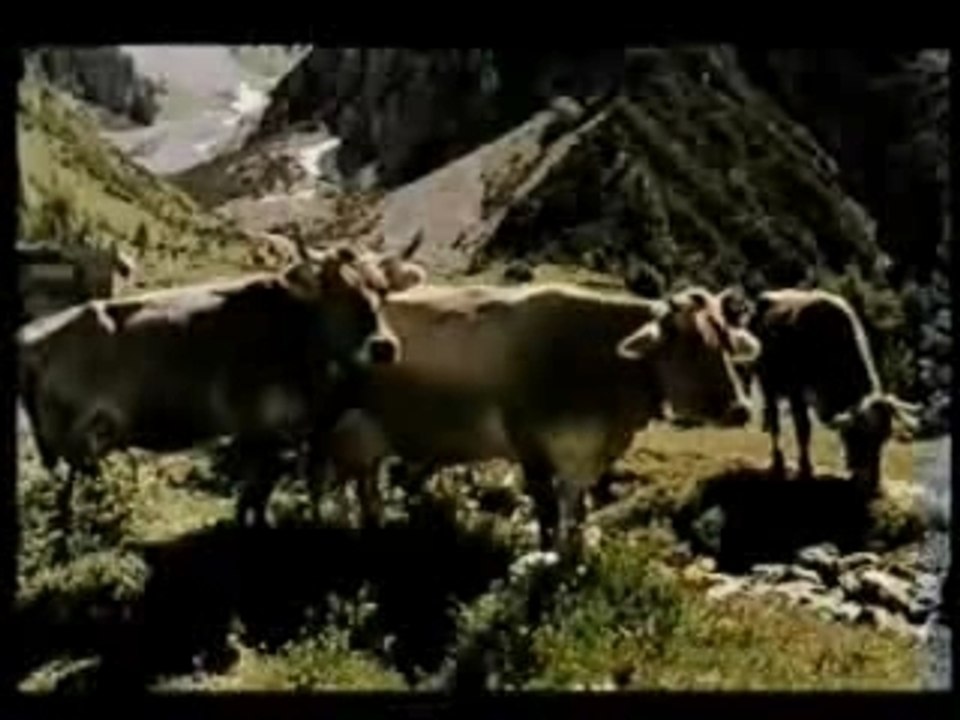 Geierwally - Jodeln