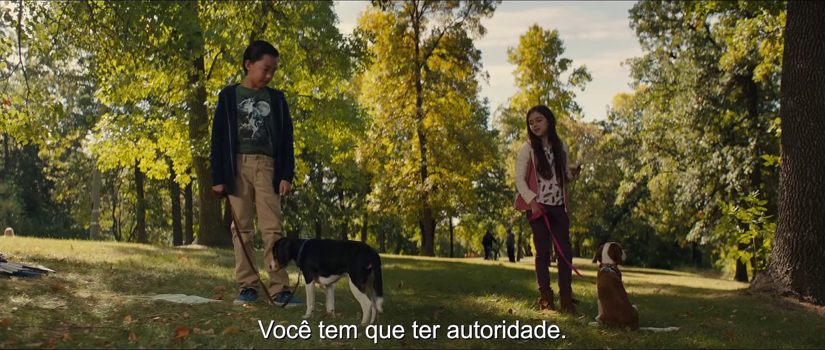 Juntos Para Sempre Filme