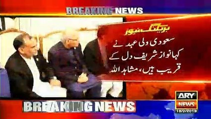 Saudi crown prince said, 'Nawaz Sharif is special': Sen. Mushahidullah claims