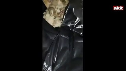 CHP'li belediyenin hayvan barınağında skandal görüntü