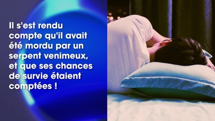 Mordu par un serpent, un homme mord sa femme pour qu’elle meurt avec lui