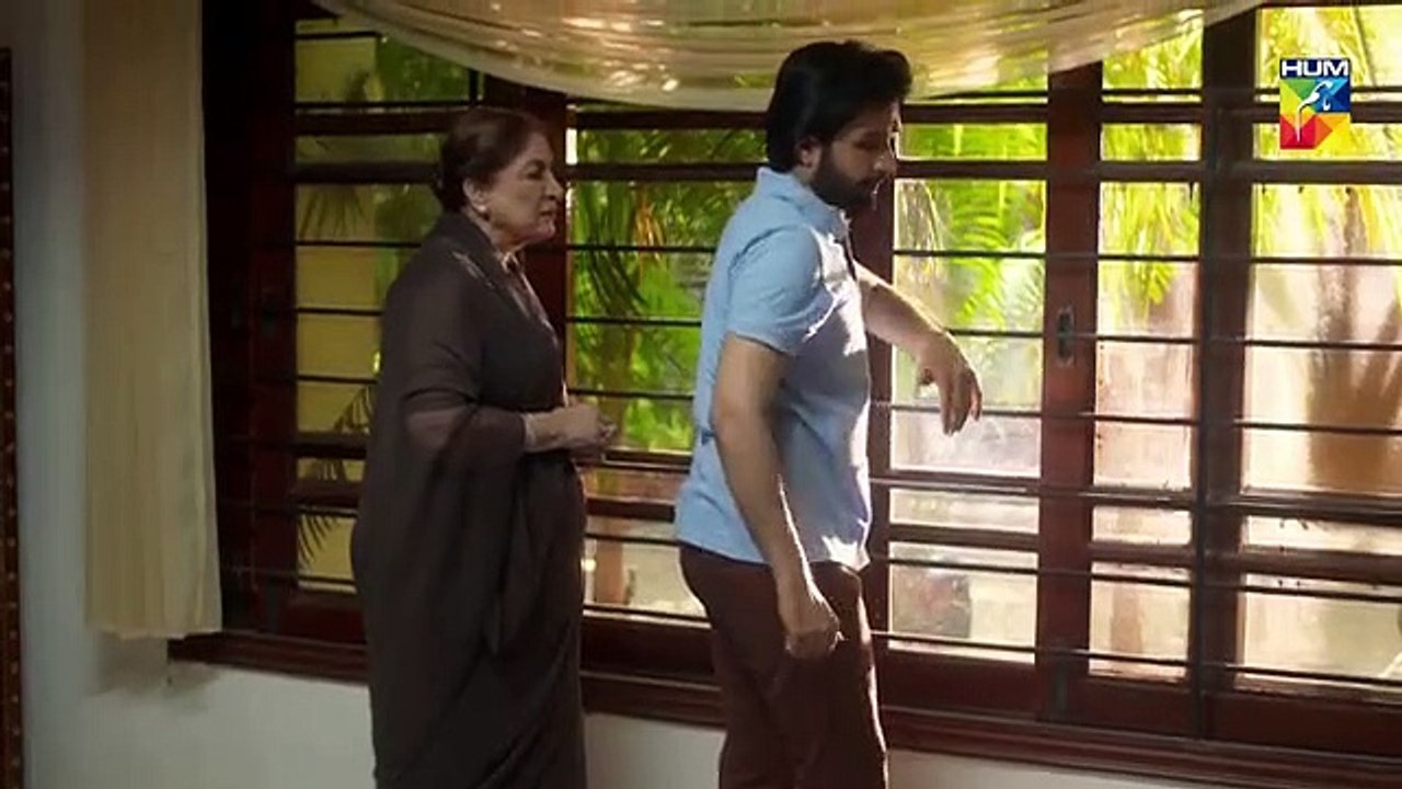 Aatish Episode 27 HUM TV Drama 18 February 2019