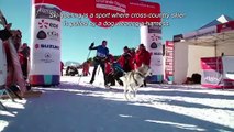 Episode 11 - Le Ski-Joëring ST