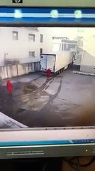 Quand un camion livre des carcasses de porcs