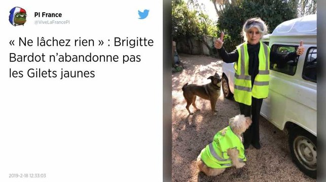 Gilets jaunes. Brigitte Bardot réaffirme son soutien lors d’une visite surprise dans le Var