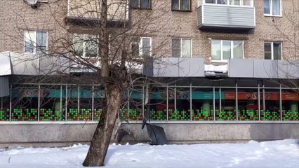 Cleaners Drop Ice from Roof Without a Care