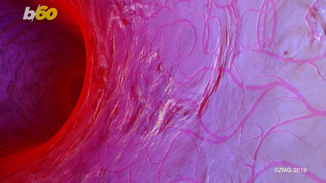 Heavy Smoking Might Damage Your Color Vision