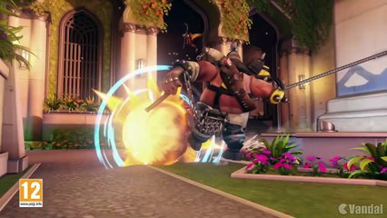 Overwatch - Wrecking Ball