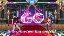 SNK HEROINES Tag Team Frenzy - Características