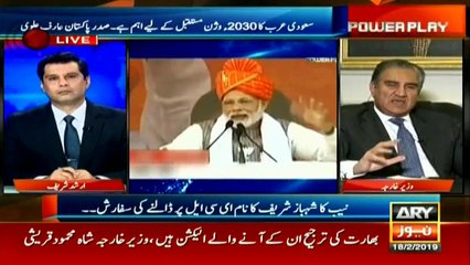 Foreign Minister Qureshi comments on Kulbhushan Jadhav and India's jingoism