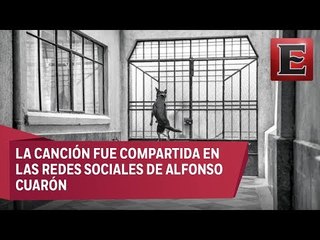 Componen cumbia para 'El Borras'