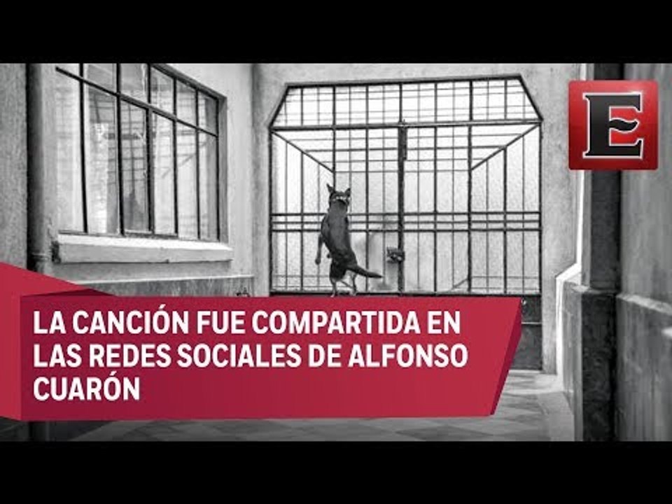 Componen cumbia para 'El Borras'