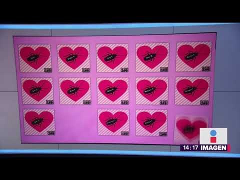 ¿Nombrarías a una cucaracha como tu ex? | Noticias con Yururiria Sierra
