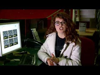 Diploma shitet për 100 euro “online” - Top Channel Albania - News - Lajme