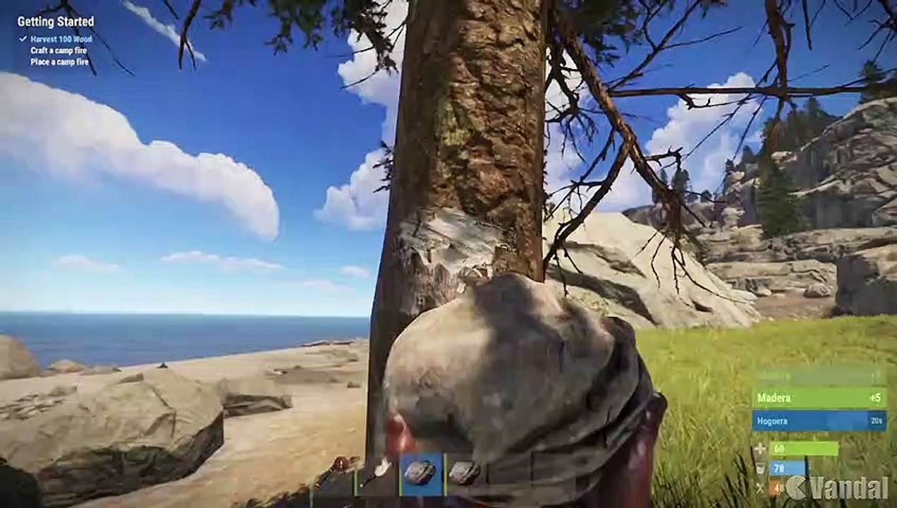 Videoanálisis RUST