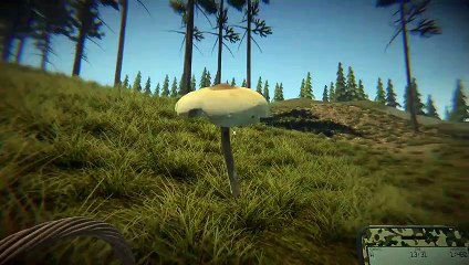 Mushrooms: Forest Walker - Tráiler