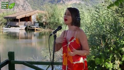 DOĞA İÇİN ÇAL 10 - İKİ KEKLİK, DERE GELİYOR DERE