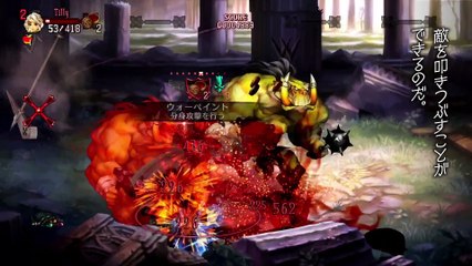 Dragon's Crown Pro - Amazona