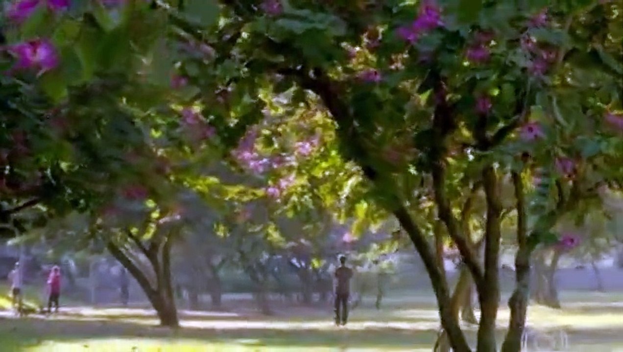 Novela Sangue Bom Capitulo 48 Completo em HD