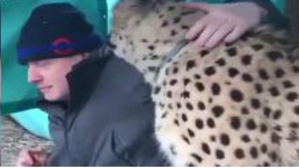 Raw Moment: Boris Johnson gets up close and personal with Saba the cheetah