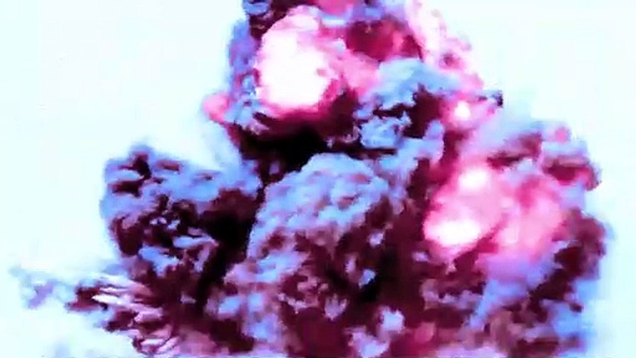 Dead Synchronicity: Tomorrow Comes Today - Nintendo Switch