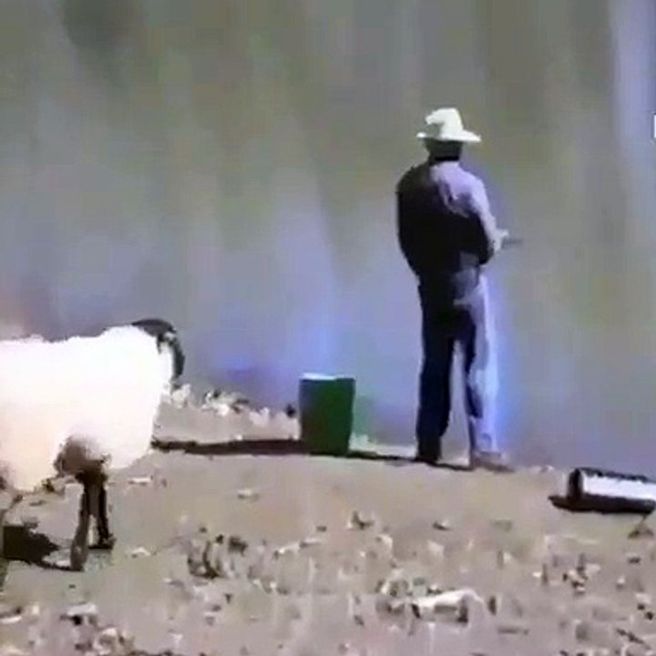 koçun intikamı =) süper komik video izlemeden geçme