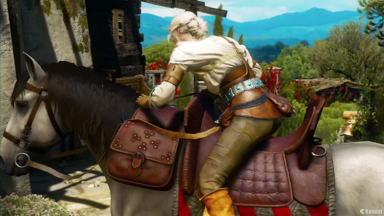 The Witcher - Décimo aniversario