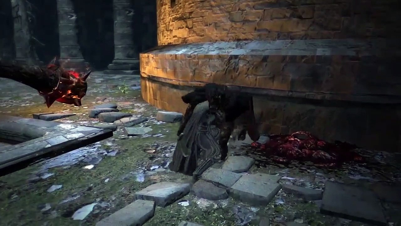 Dragon's Dogma: Dark Arisen - Luchadores