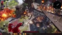 Divinity: Original Sin II - Características