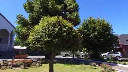 93 Isla Paraíso~1_clip0