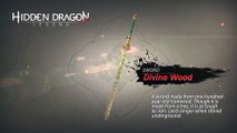 Hidden Dragon Legend - Armas