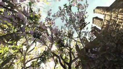 Life is Feudal: Your Own - Gremios y territorios