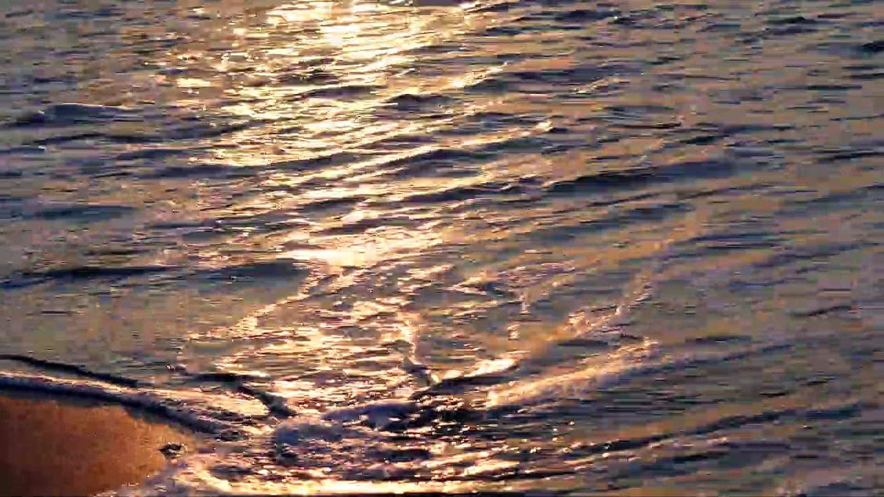 Sea - 4006