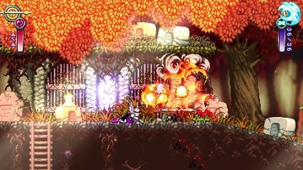 Battle Princess Madelyn - Tráiler Kickstarter