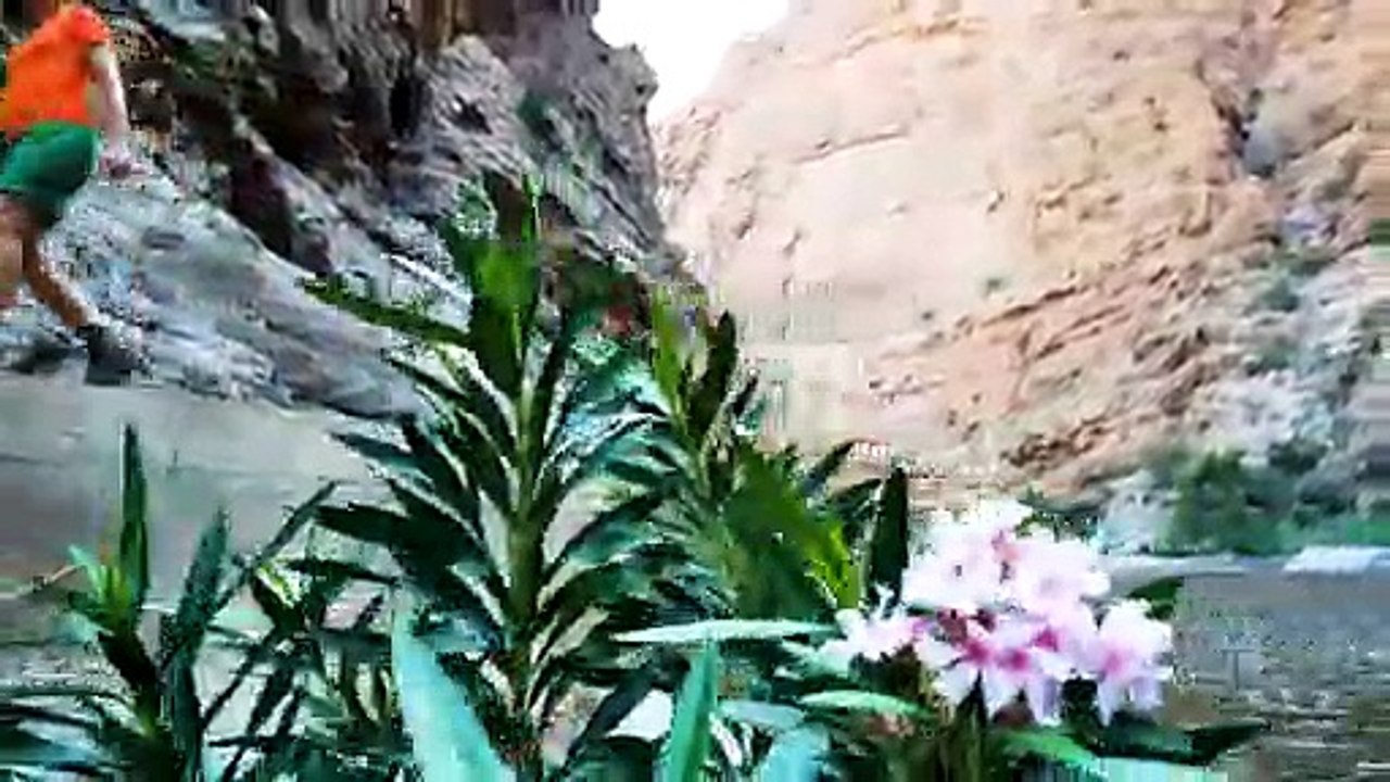 Wandern im Oman: Entlang des Wadi Qtm