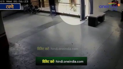 ठाणे के मॉल में घूमता दिखा तेंदुआ हुआ CCTV में कैद, देखें तस्वीरें