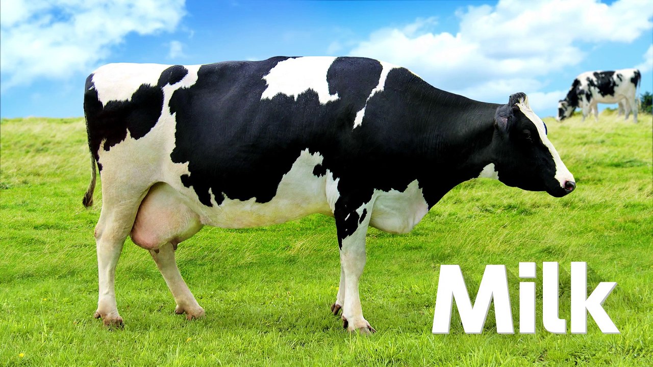 1-2-Switch - Milk