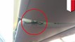 Penumpang panik! Kalajengking dalam pesawat Lion Air - TomoNews