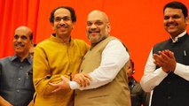 Lok Sabha Elections 2019: Shiv Sena & BJP announce Tie-Up for polls | Oneindia News