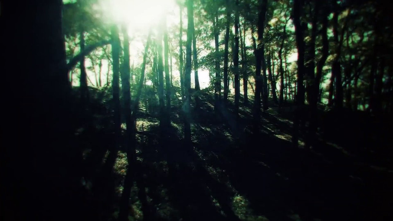 Project Re Fantasy - Anuncio