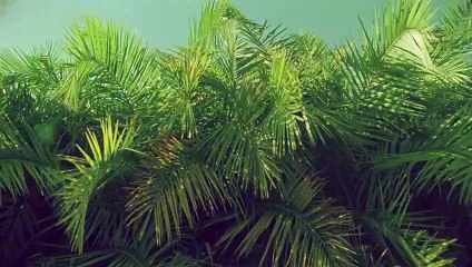 구로출장안마 {Ø1Øx2703x7745}【카톡VVV75】구로출장샵'예약'구로출장마사지 구로여대생출장 구로여고생출장 구로콜걸샵