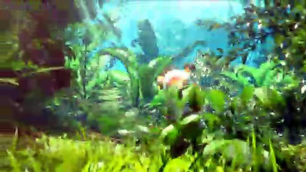 Monster Hunter Stories - Introducción