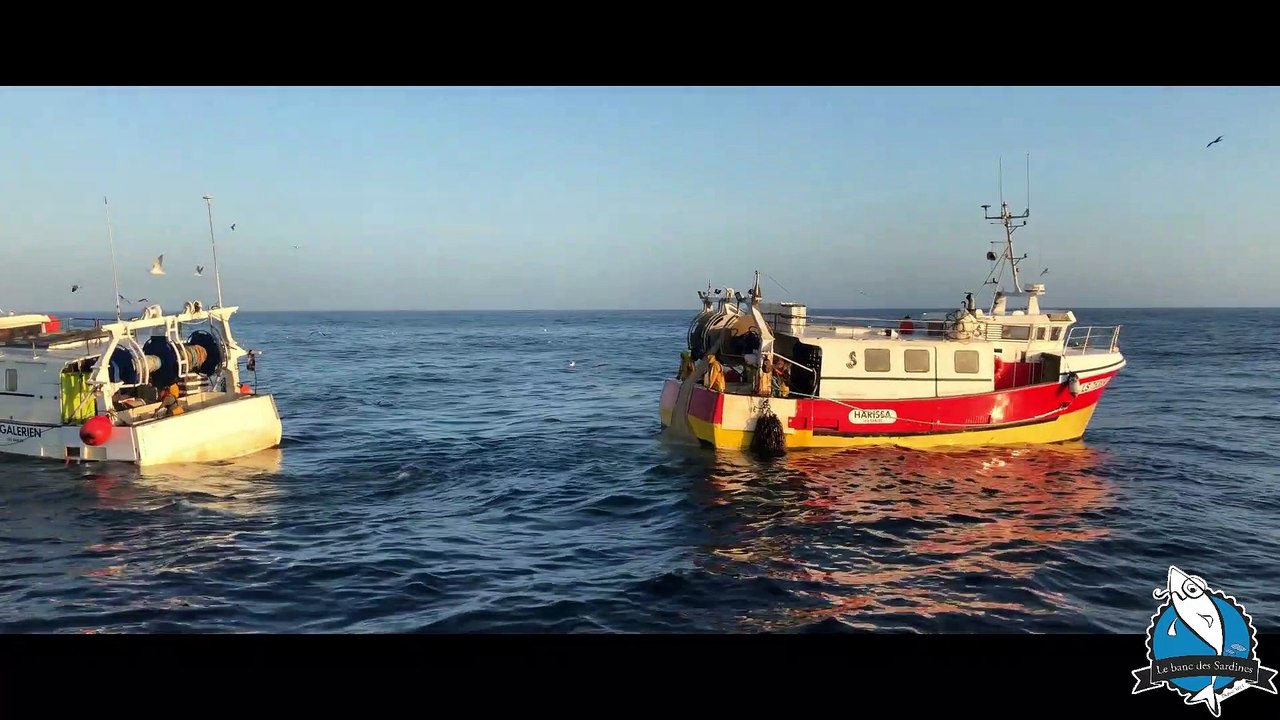 La pêche à la sardine de Saint Gilles Croix de Vie
