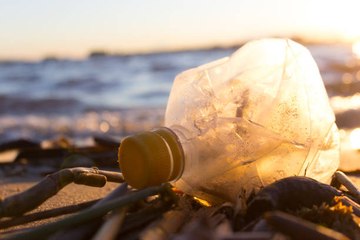 Pollution des océans : le plastique jusque dans nos assiettes