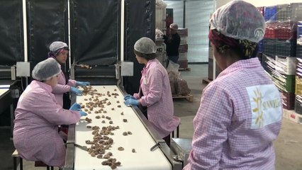 Devlet desteğiyle işletme kurdu, 3 yıl sonra ihracat yaptı - AYDIN