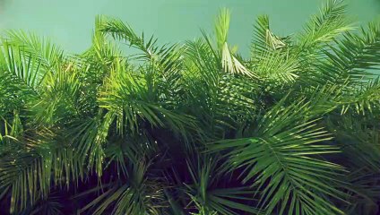 춘천출장안마 {Ø1Øx2703x7745}【카톡VVV75】춘천출장샵'예약'춘천출장마사지 춘천여대생출장 춘천여고생출장 춘천콜걸샵