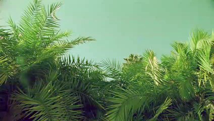 화천출장안마 {Ø1Øx2703x7745}【카톡VVV75】화천출장샵'예약'화천출장마사지 화천여대생출장 화천여고생출장 화천콜걸샵