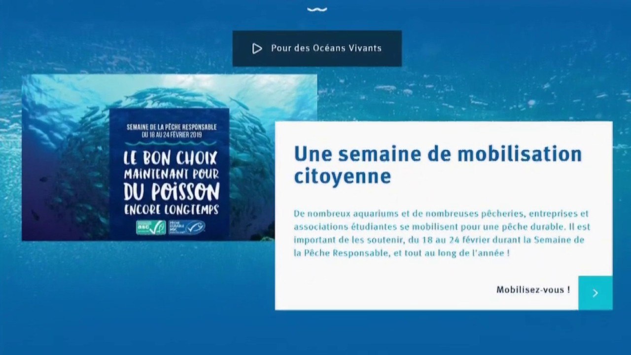 La semaine de la pêche responsable !