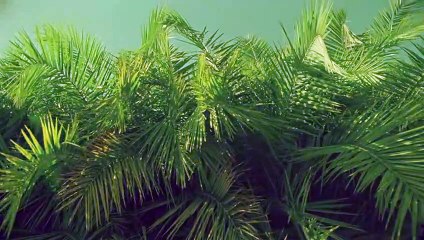 군위출장안마 {Ø1Øx2703x7745}【카톡VVV75】군위출장샵'예약'군위출장마사지 군위여대생출장 군위여고생출장 군위콜걸샵