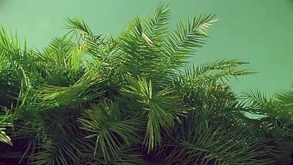 천안출장안마 {Ø1Øx2703x7745}【카톡VVV75】천안출장샵'예약'천안출장마사지 천안여대생출장 천안여고생출장 천안콜걸샵